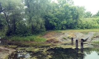 Экологические услуги от ПромМир-Еск в Ейске - стоимость от 12367 руб.