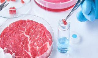 Лабораторный анализ пищевых продуктов по СанПиН в Ейске в октябре