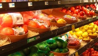 Сертификация пищевой продукции в Ейске – цена от 10306 руб. | ПромМир
