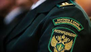 Подготовка к проверке Росприроднадзора в Ейске от ПромМир, стоимость услуги от 20612 руб.